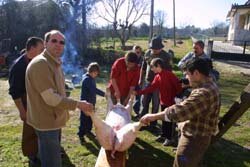 A matan�a decorreu seguindo os moldes tradicionais