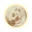 Mostly Clear