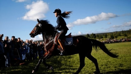 Feira Nacional do Cavalo Garrano anima Vieira do Minho