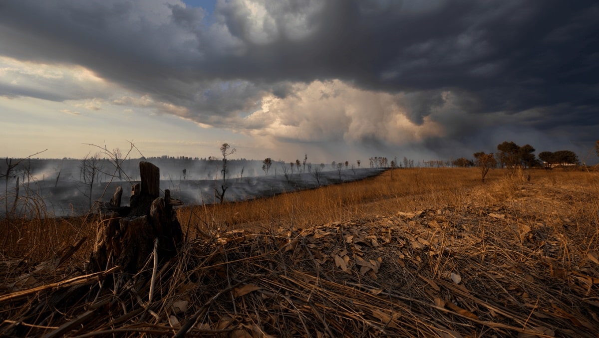 Cerca de 50 concelhos de oito distritos em perigo máximo de incêndio
