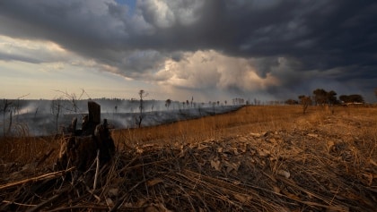 Cerca de 50 concelhos de oito distritos em perigo máximo de incêndio