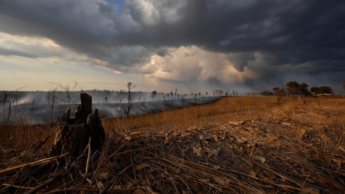 Cerca de 50 concelhos de oito distritos em perigo máximo de incêndio