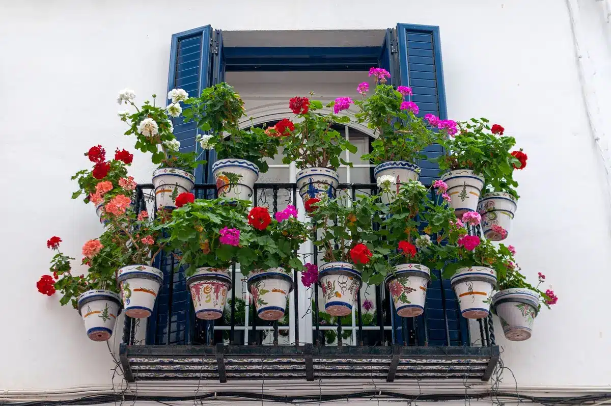 Varanda florida com plantas e flores em composição harmoniosa