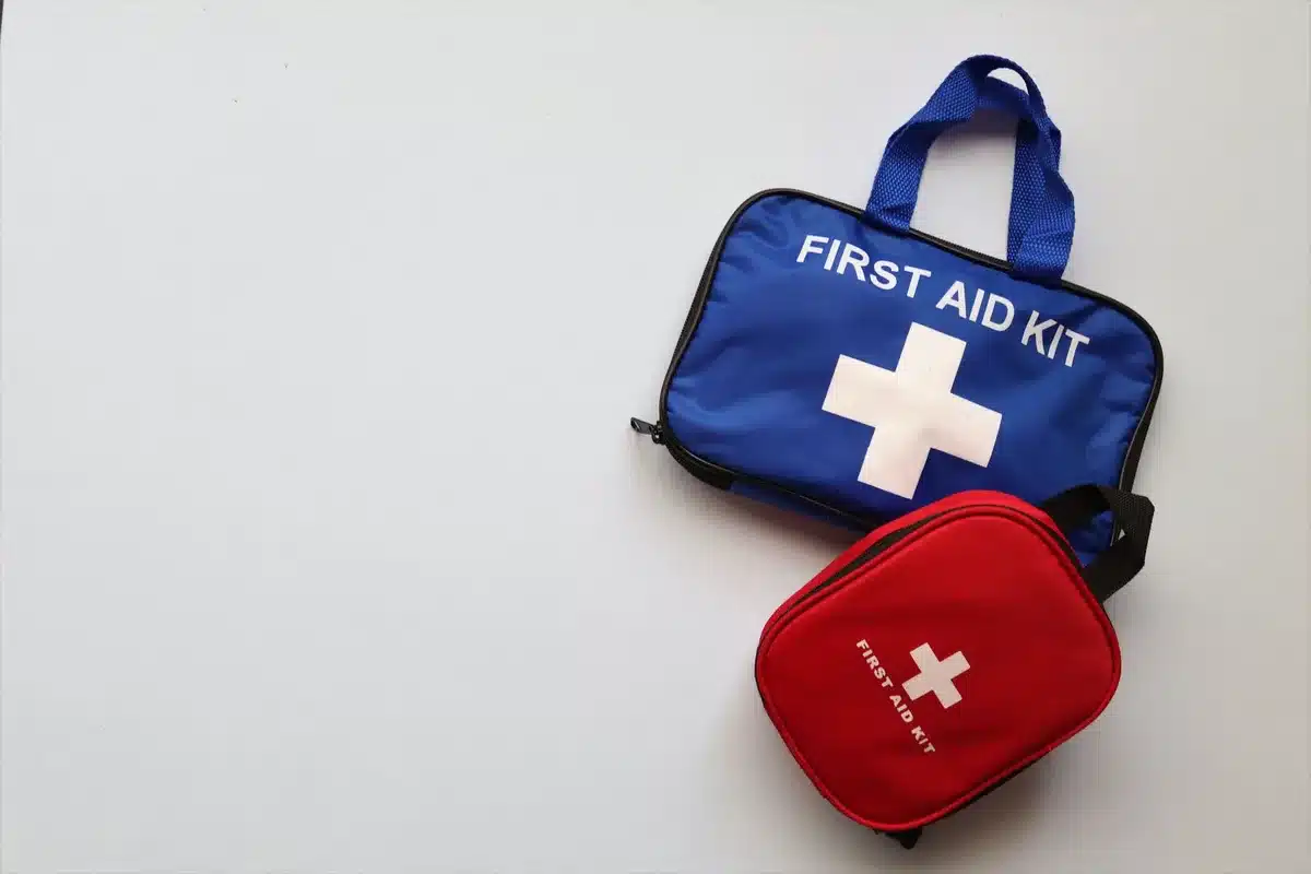 Kit de emergência com caixa de transporte e suprimentos para animais de estimação