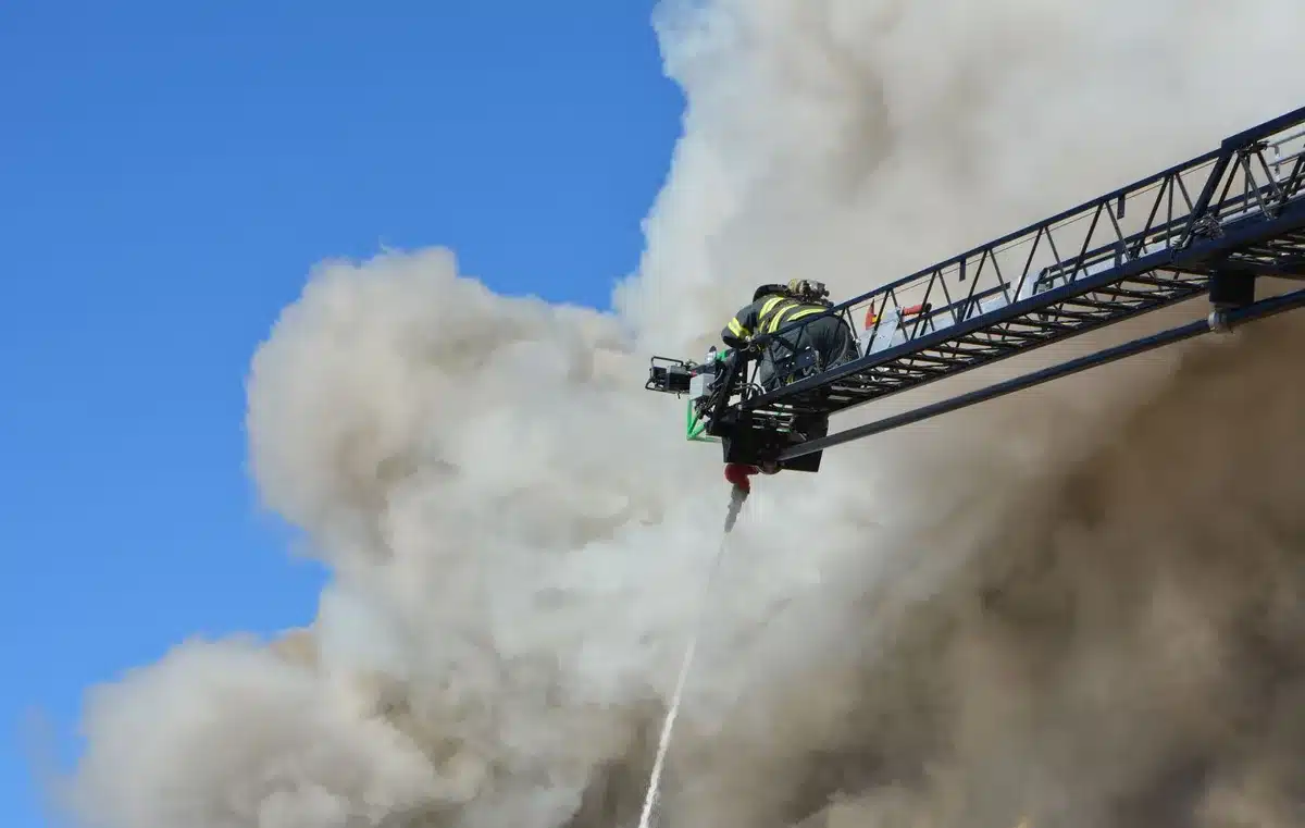 Pessoa ajudando animal em situação de exposição a fumaça de incêndio
