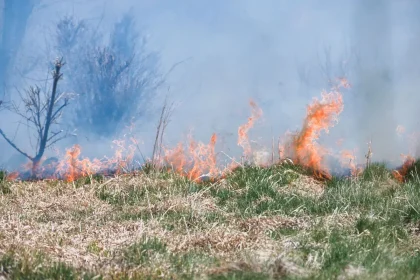 Paisagem florestal árida sob calor intenso com fumo distante, simbolizando risco máximo de incêndio
