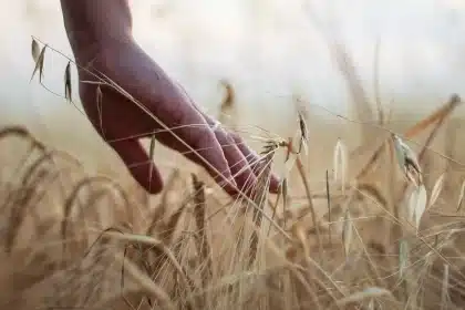 Mãos anónimas seguram um isqueiro junto a um caminho rural queimado