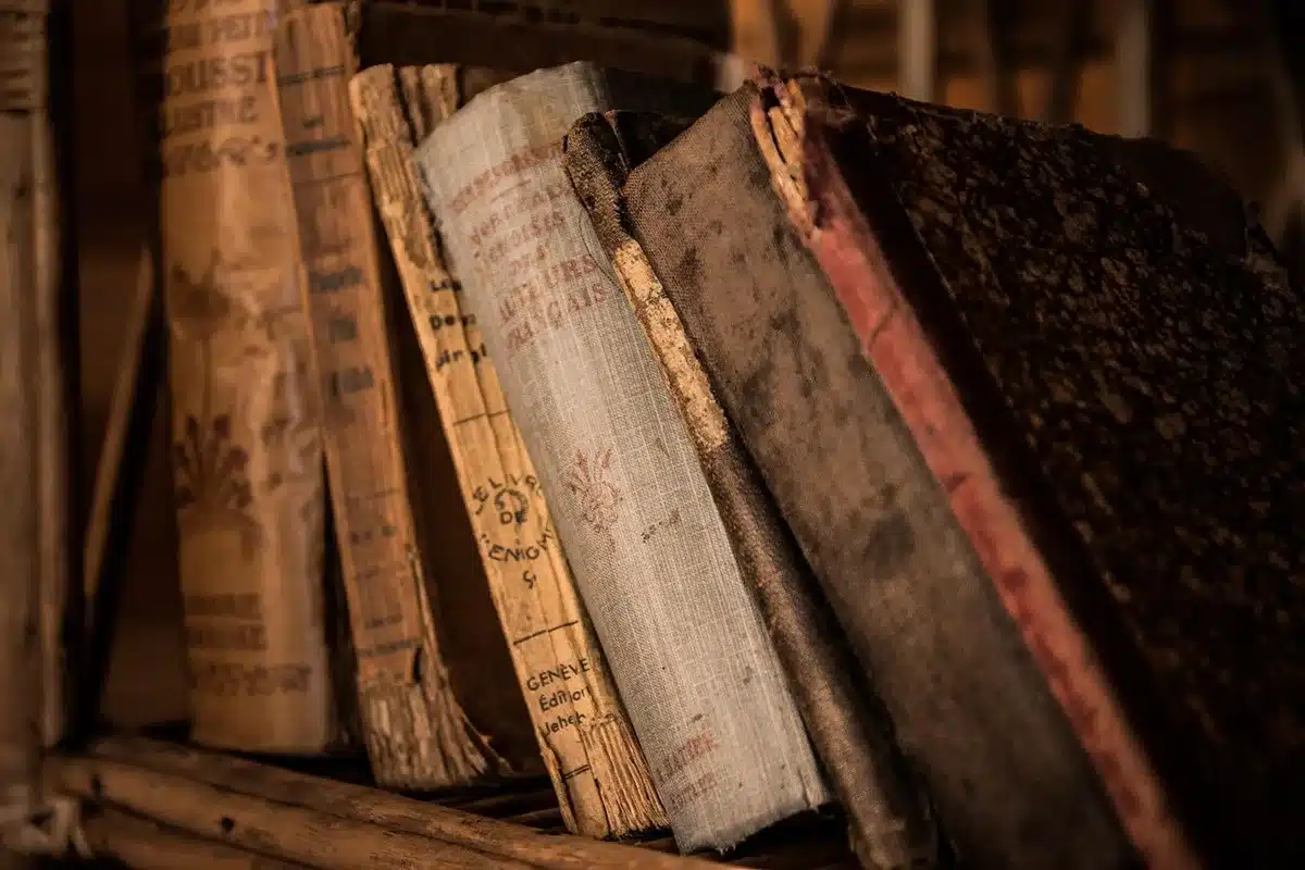 Biblioteca flutuante com acervos m&oacute;veis em embarca&ccedil;&atilde;o fluvial