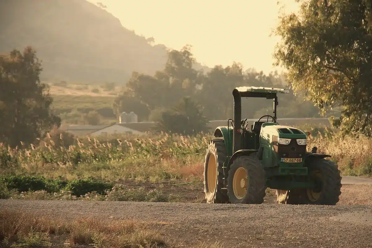 Banca agrícola numa feira com agricultores e produtos expostos