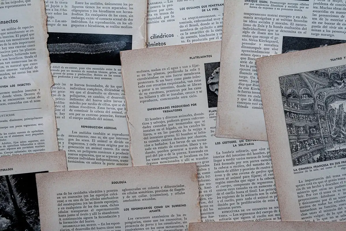 Documentos oficiais e deliberação sobre a mesa durante reunião