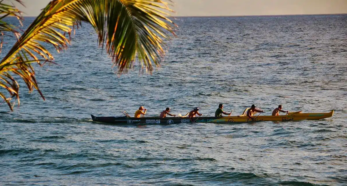 Pódio de canoagem com atletas e medalhas representando resultados internacionais
