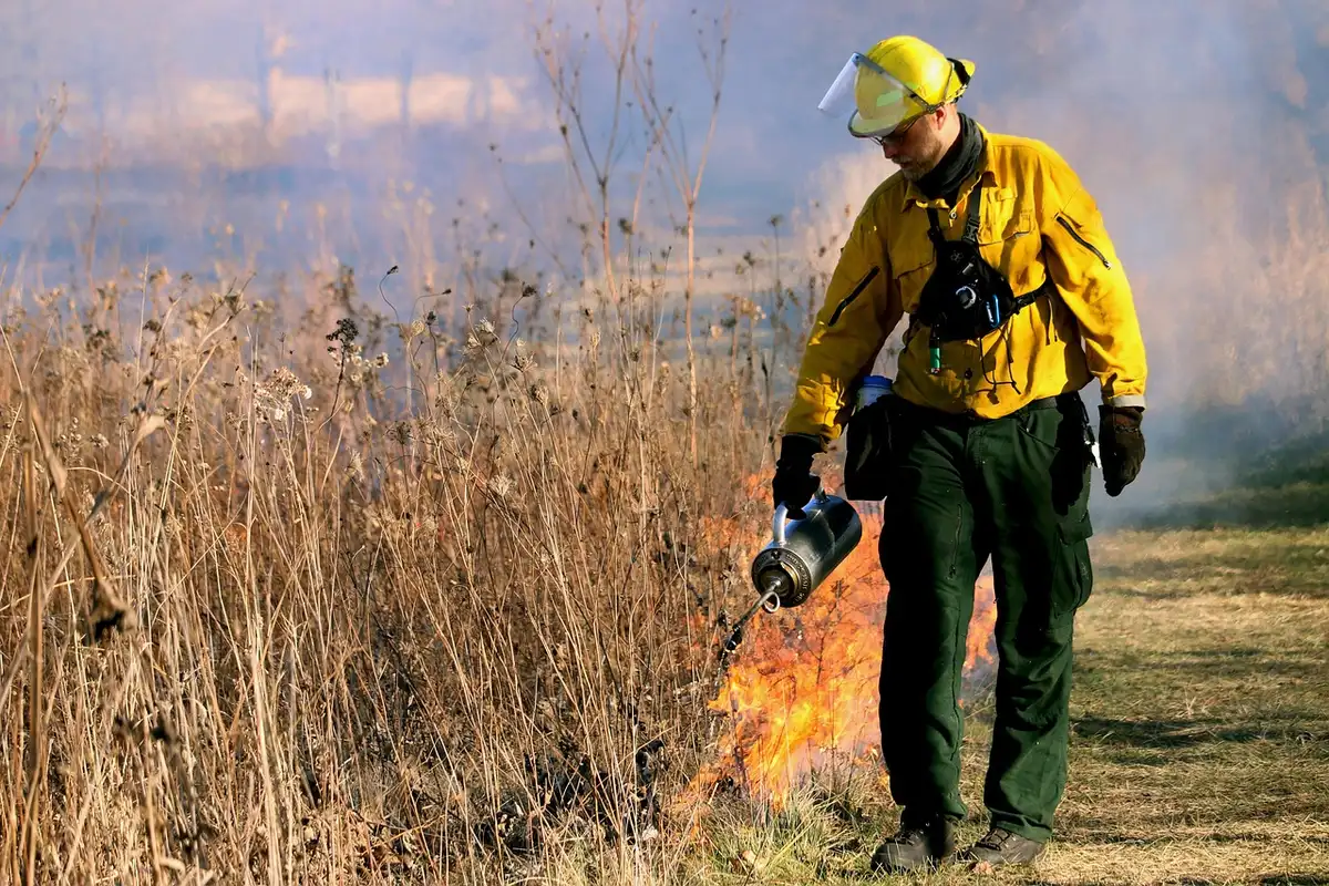 Bombeiros e chamas numa serra durante incêndio florestal