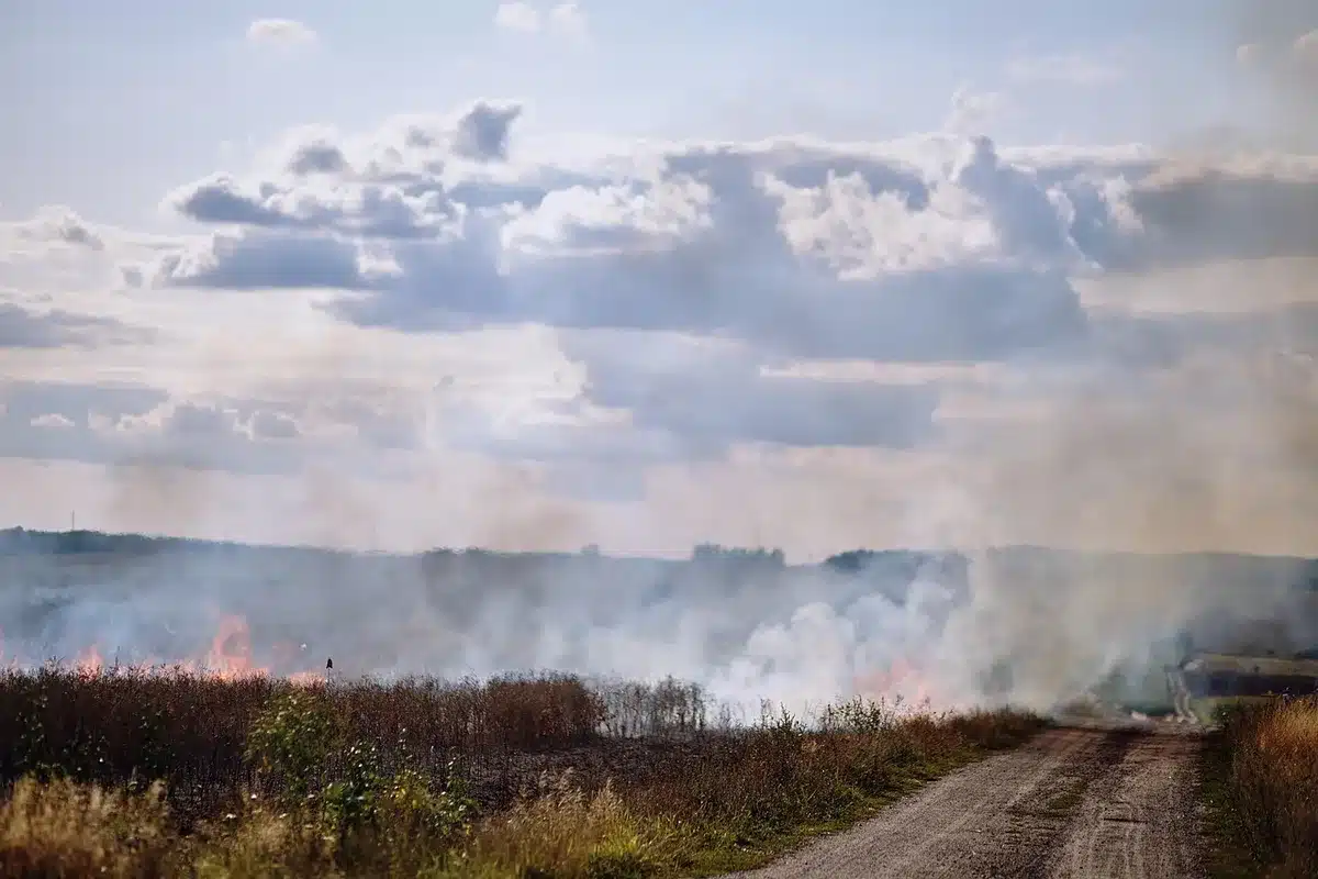 Bombeira a ser transportada numa maca para uma ambulância após queda durante combate ao incêndio