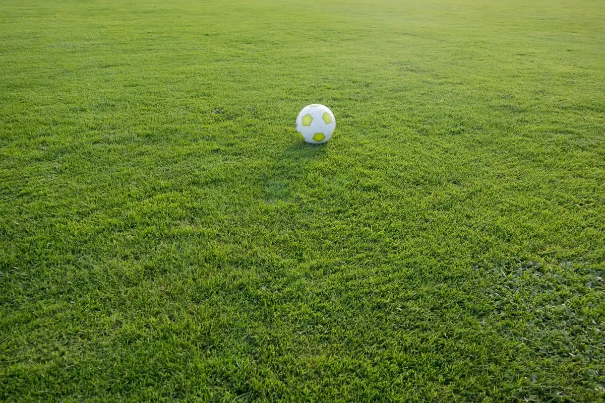 Equipa treina num relvado de um resort nos EUA durante o estágio