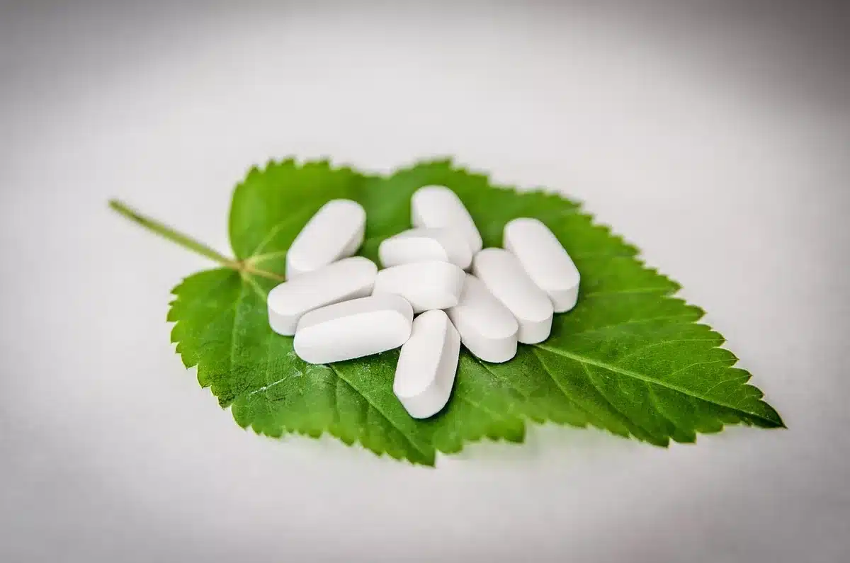 Frascos anónimos de suplementos e comprimidos de ácido fólico num bolso de mão